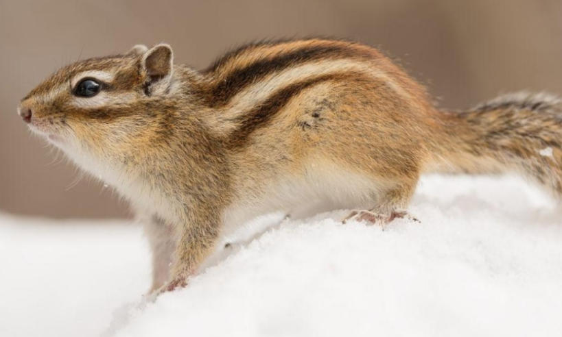 南通锦鑫机械制造有限公司轮播图3