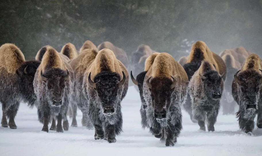 南通锦鑫机械制造有限公司轮播图1